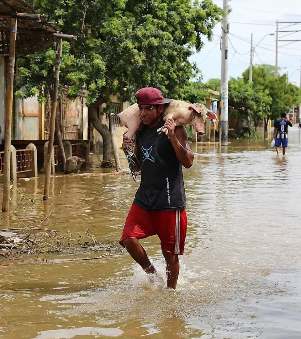 El Niño 2023, película repetida