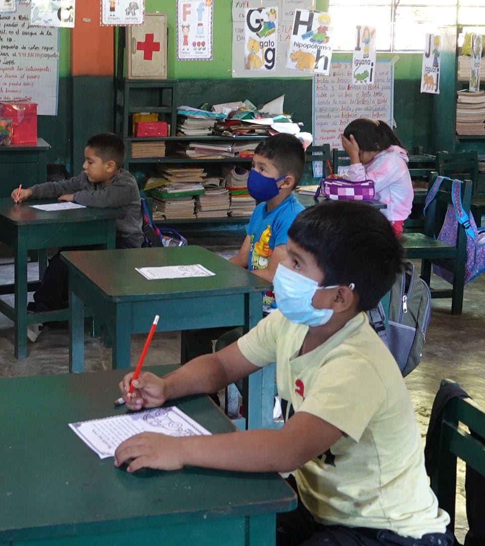 Educación en pandemia: esfuerzos enormes, resultados discretos