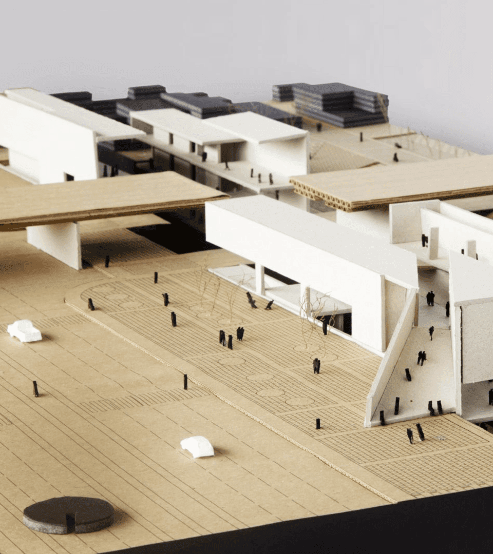 Meditaciones sobre el futuro de la universidad: una reflexión situada