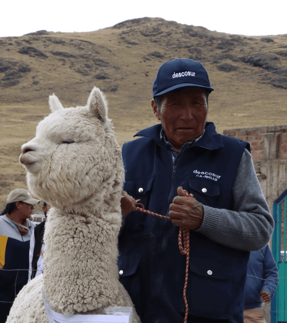 Cuatro décadas apostando por el desarrollo desde el sur