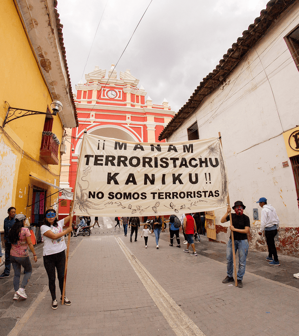 Apuntes sobre el terruqueo