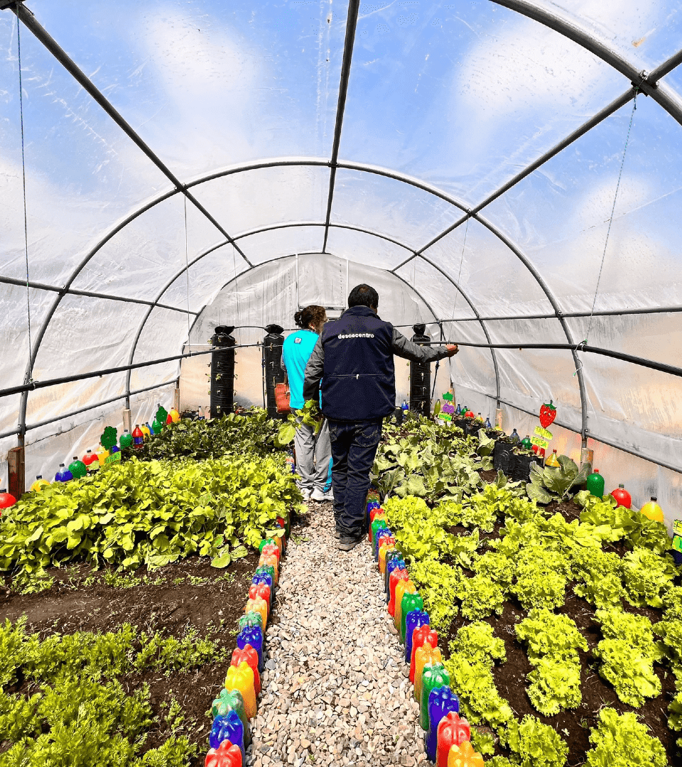 Huancavelica: un modelo de intervención para el cambio