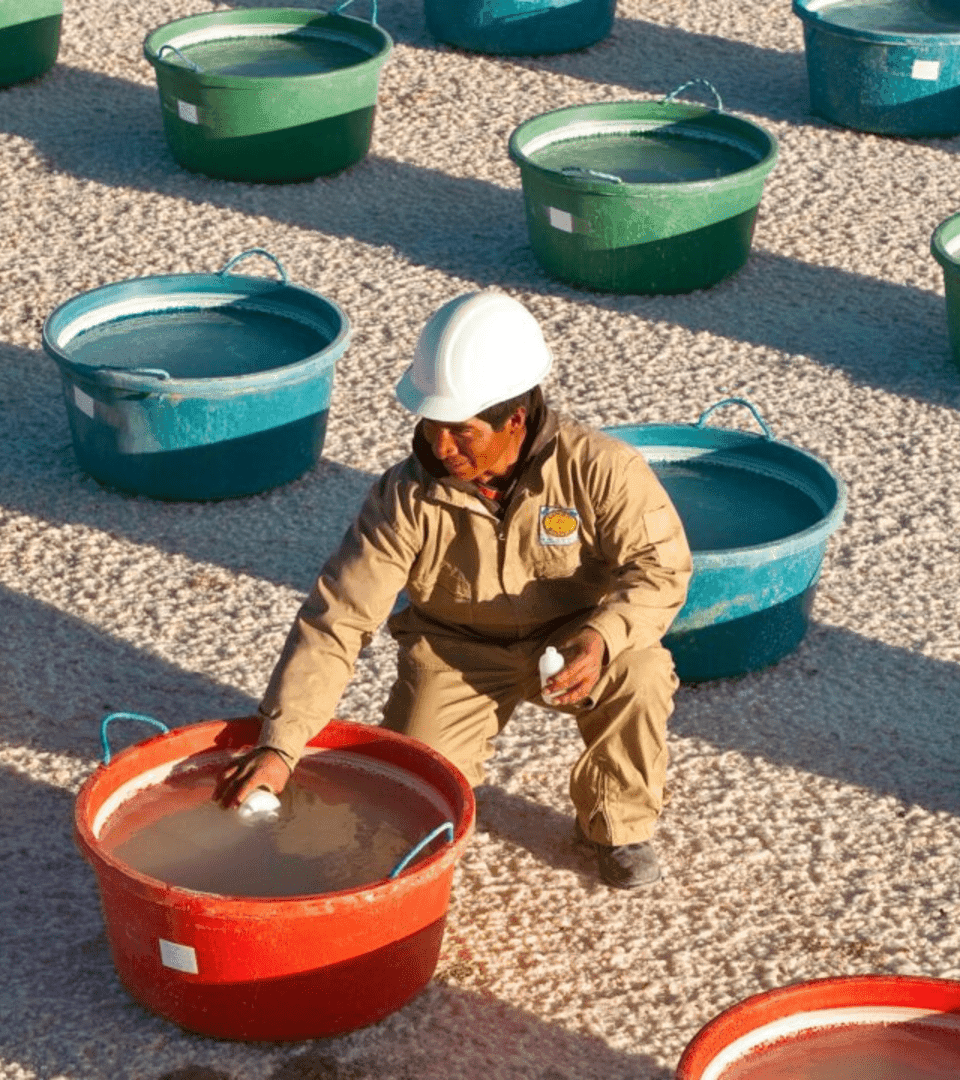 La nueva inflexión histórica en Bolivia y Latinoamérica