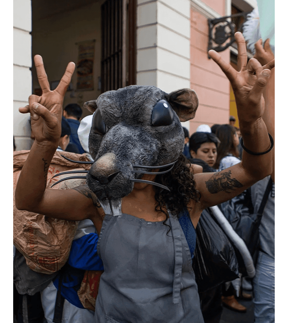 Sobre universidades y "escuelas de malas artes"